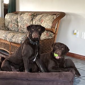 Meet your Posher, Barbara